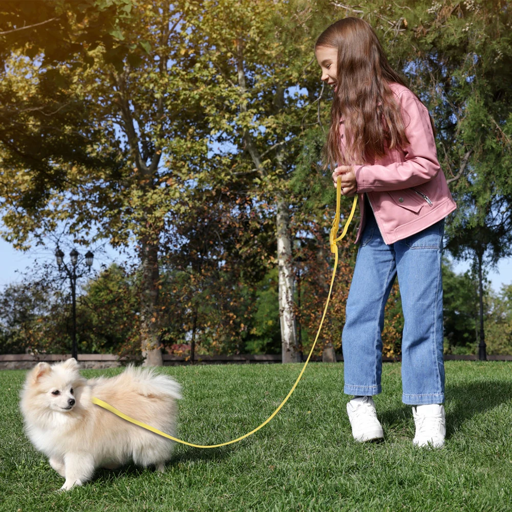 Slip Dog Leash Standard Dog Leashes Adjustable Handsfree Dog Leash