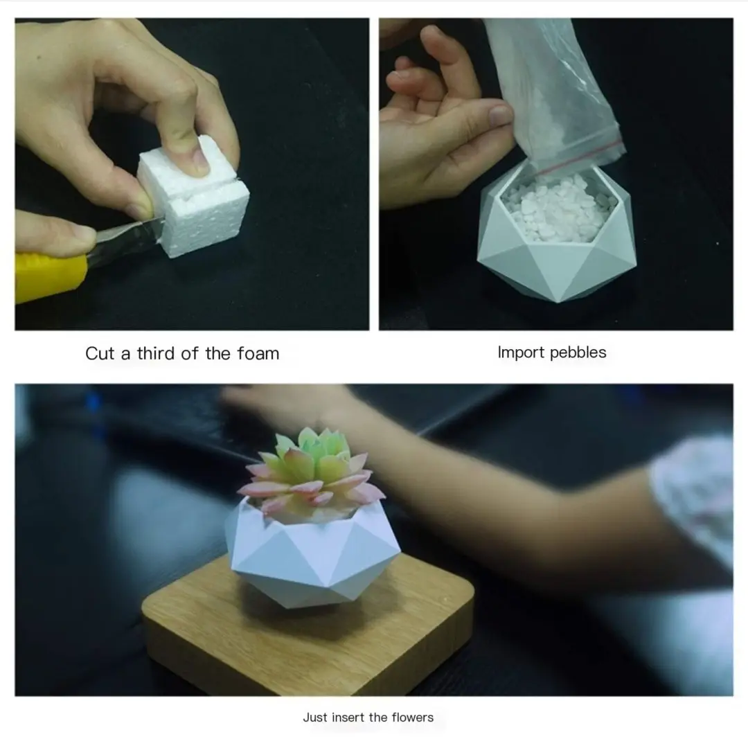 Lecmag Levitating Bonsai Floating Plant Pot For Plants With