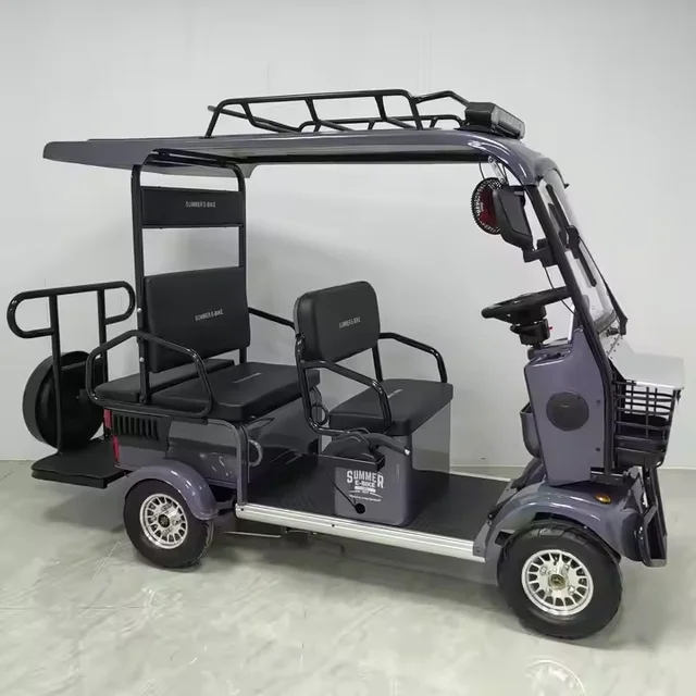 2025 Factory Direct High-Performance 4-Wheel Electric Vehicle  60V 800W Motor