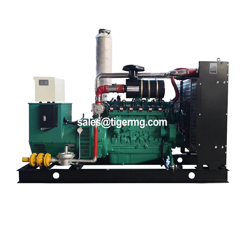 50kw 1000kw Farm Hydrogen Generation From by Mobile Biomass Methane Power Generating Plant Generator Combustion