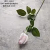 #4-1 bianco rosa