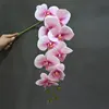 Bianco Rosa