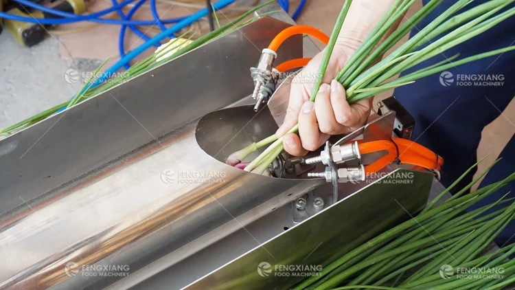 New Spring Onion Peeling Green Onion Skin Blowing Shallot Peeler Machine Shallot Clean Machine