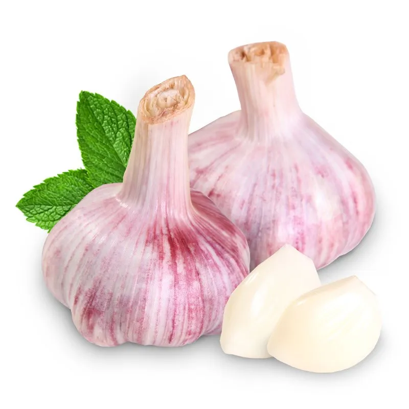 best price garlic chinese fresh vegetables onion wholesalers