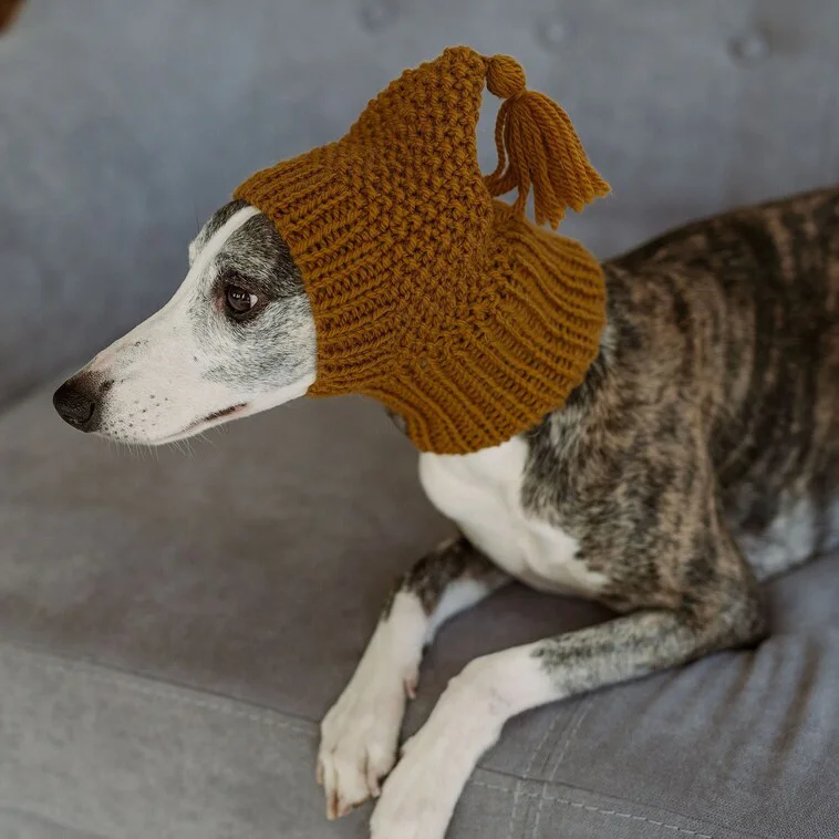 Y-Z Hand Knitted Crochet Winter Greyhound Large Dog Beanie Hat Dog  Accessories Whippet Snood