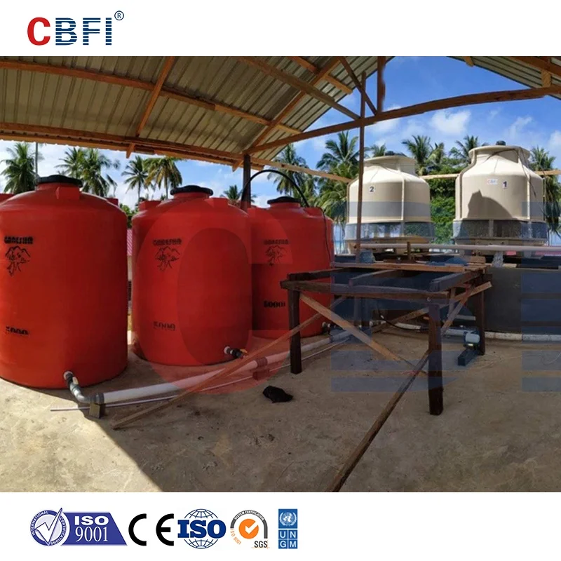 CBFI ABI100 Automatic Direct Cooling Block Ice Machine 10 Tons Indonesia Case