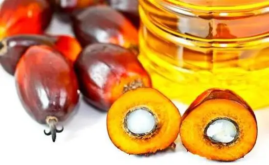 Palm Oil Processing Machine Palm Oil Press Machine Plant Oil Extraction Machine
