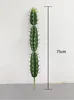 75 cm