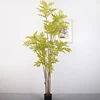 verde1,180CM