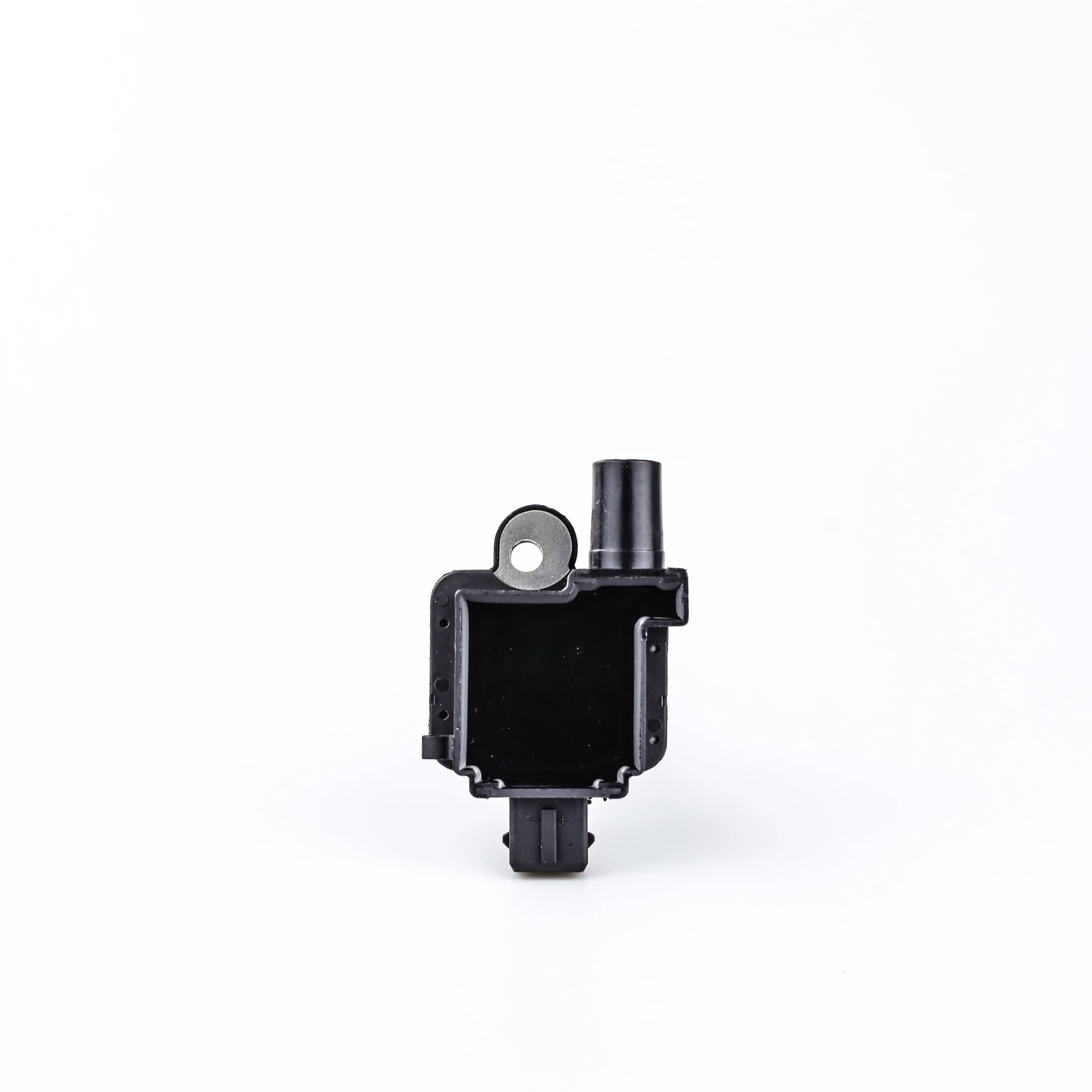 Ignition Coil - F01R00A030