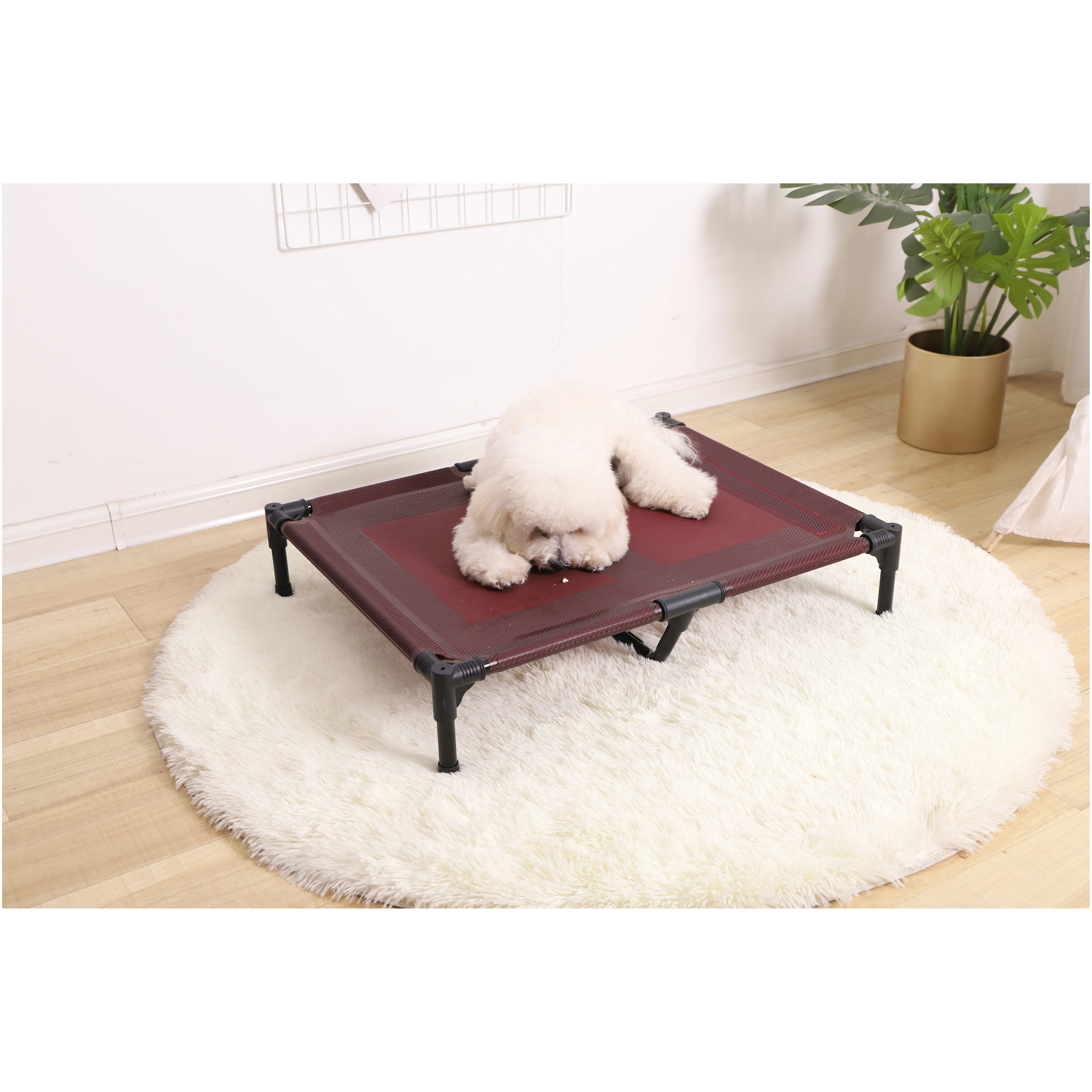 petsmart raised dog bed