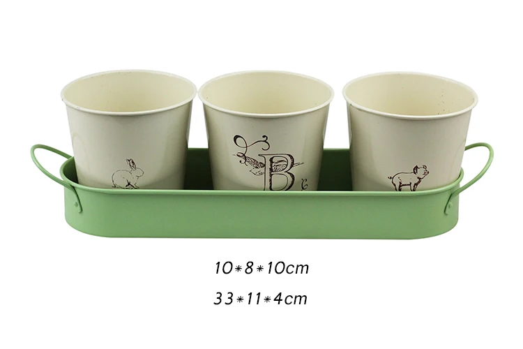 BX Metal Flower Plant Seed Pot Bucket 3 Set Flower Pots