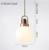 Un modello Dia 20cm