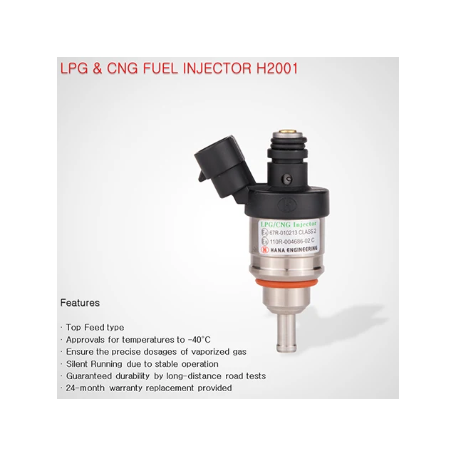 Private Label Supplement LPG Injector Conversion Kit Ready to Export Diesel Fuel Injector H2001 LPG/ CNG rail type Injector