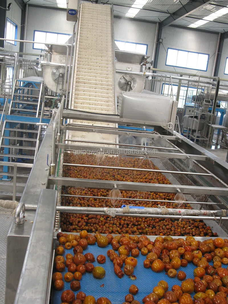 Automatic Commercial Date Paste Production Line Auto Industrial Palm Dates Paste Processing Plant Equipment Factory for Sale