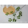 Guanyin Lotus without Flowers - Medium Branch 88CM
