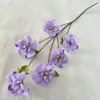 Peonia selvatica lunga 83 cm