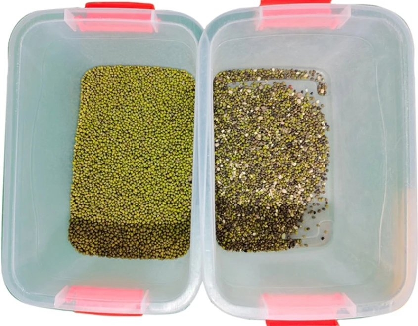 Green Mung Bean Grain Optic Colour Sorter Machine Coffee Bean Sorter and Seed Color Sorting Machine Grading Machine