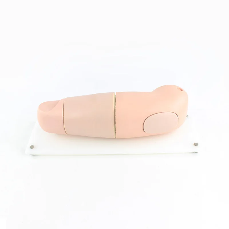 Medical Teaching Contraceptive Training  Model Subcutaneous Implantation and Removal of Contraceptive Rods Practice Model