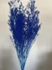 Blu scuro
