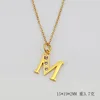 (Gold) letter M (including chain)