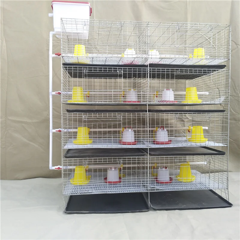 Stackable Brooder Cages H Type 45 Days Baby Chicken Cage/ Brooder/ Day Old Layer Chick Cages ...