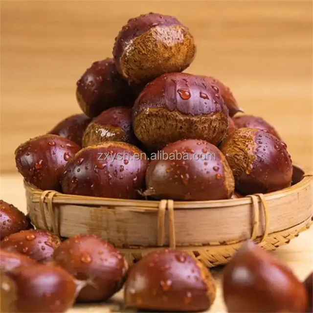 Organic Shelled Roasted Chestnuts In Bulk - Instant Snack,Gluten-free ...