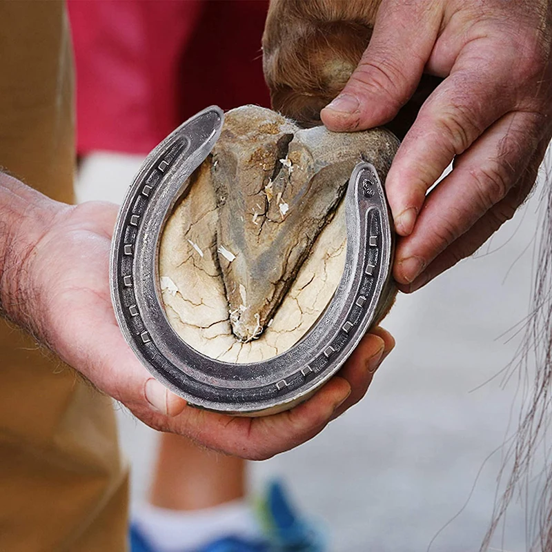 Manufacturer Equestrian Training Pony Foot Palm Aluminum Alloy