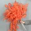 สีส้ม