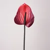 Soft glue anthurium-fuchsia