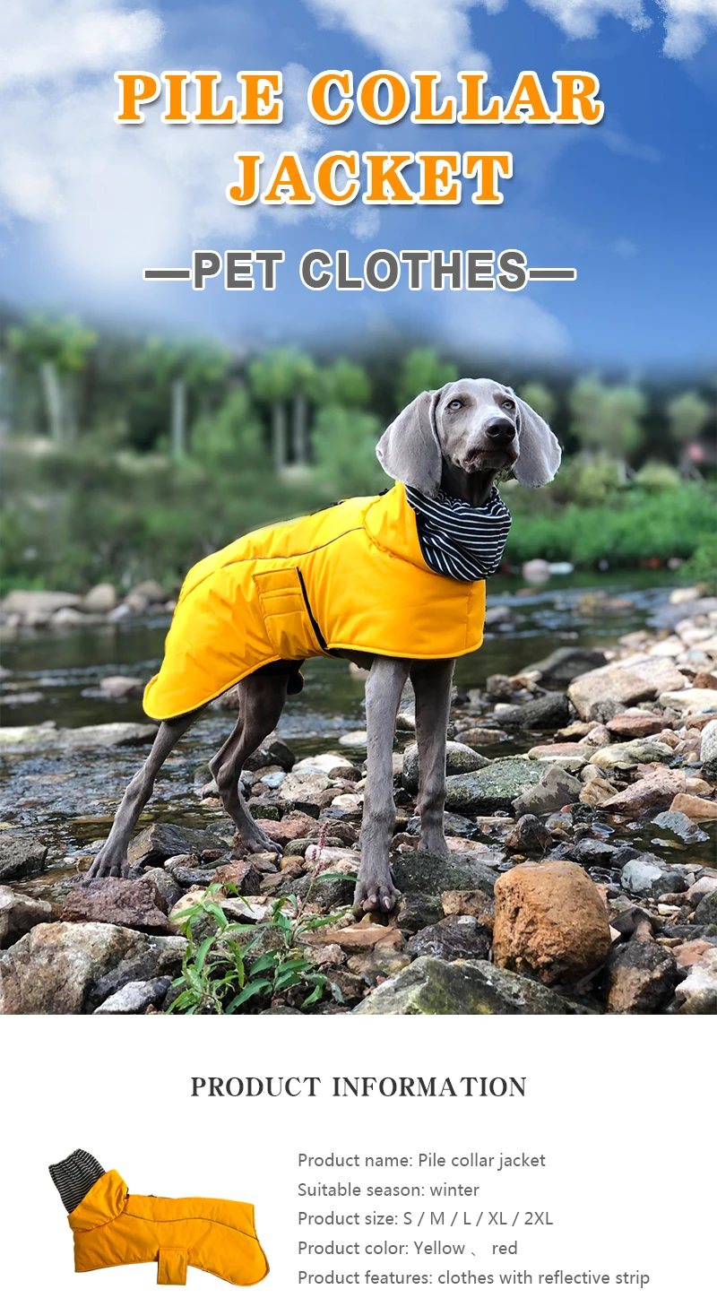 Custom Dog Winter Coat Giant Luxury Pet Clothes Waterproof Large French