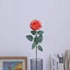 สีส้ม