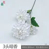 Fragancia Oscura LS Blanca de 3 Cabezas