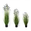 pianta in vaso con fiori fragranti viola-stereo