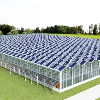Intelligent Multi-Span Photovoltaic Panel Solar Panel PC Sheet Greenhouse For Tomato Planting