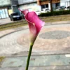 Rose rouge
