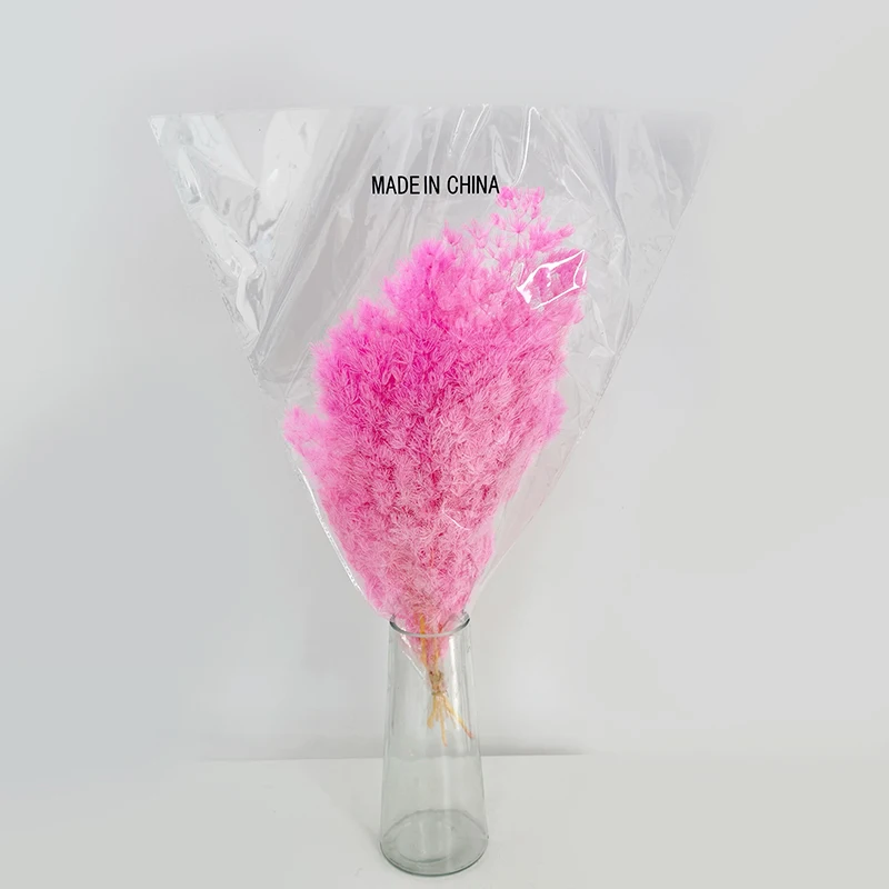 Geniet veral van prachtige valse hydrangea bloeisels die hele jaar deur