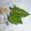 Verde BL-6734-01