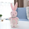 Pink Rabbit