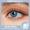 L275/Arara bleu