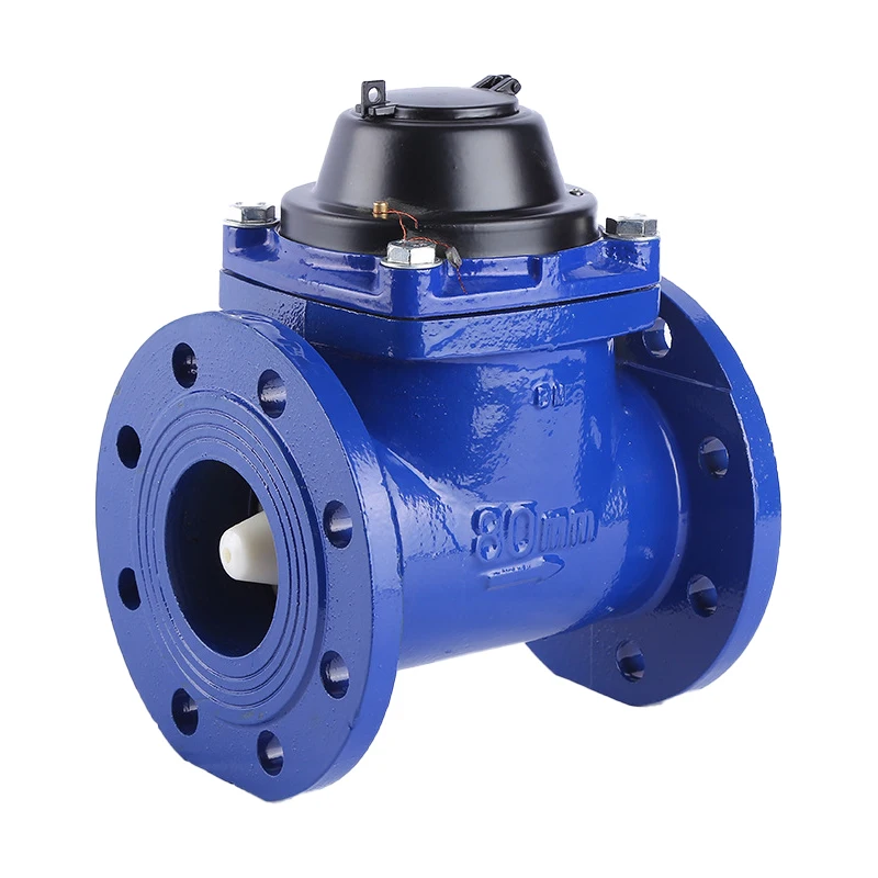 Removable Dry Dial Type Flange Socam-Water-Meter