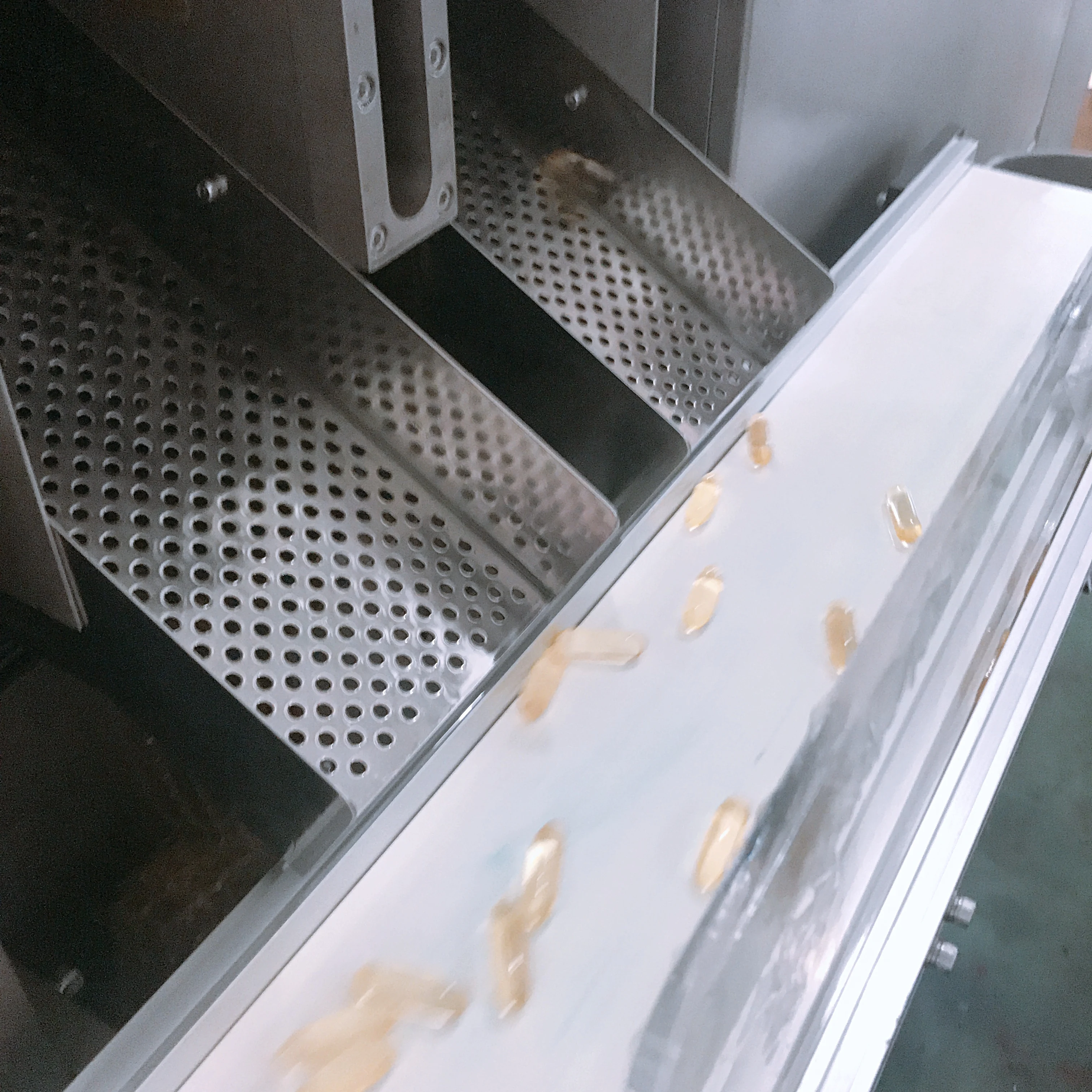 Оборудование для инкапсуляции Softgel