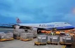 Fluke Networks Ms2-Ttk Microscanner2 Termination Test Kit New| Alibaba.com