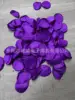 Viola scuro