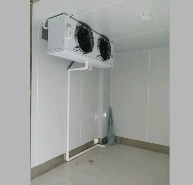 Dl-25 Electric Motor, 4000W, 380 V, 5200 W (Kcal - detail 2