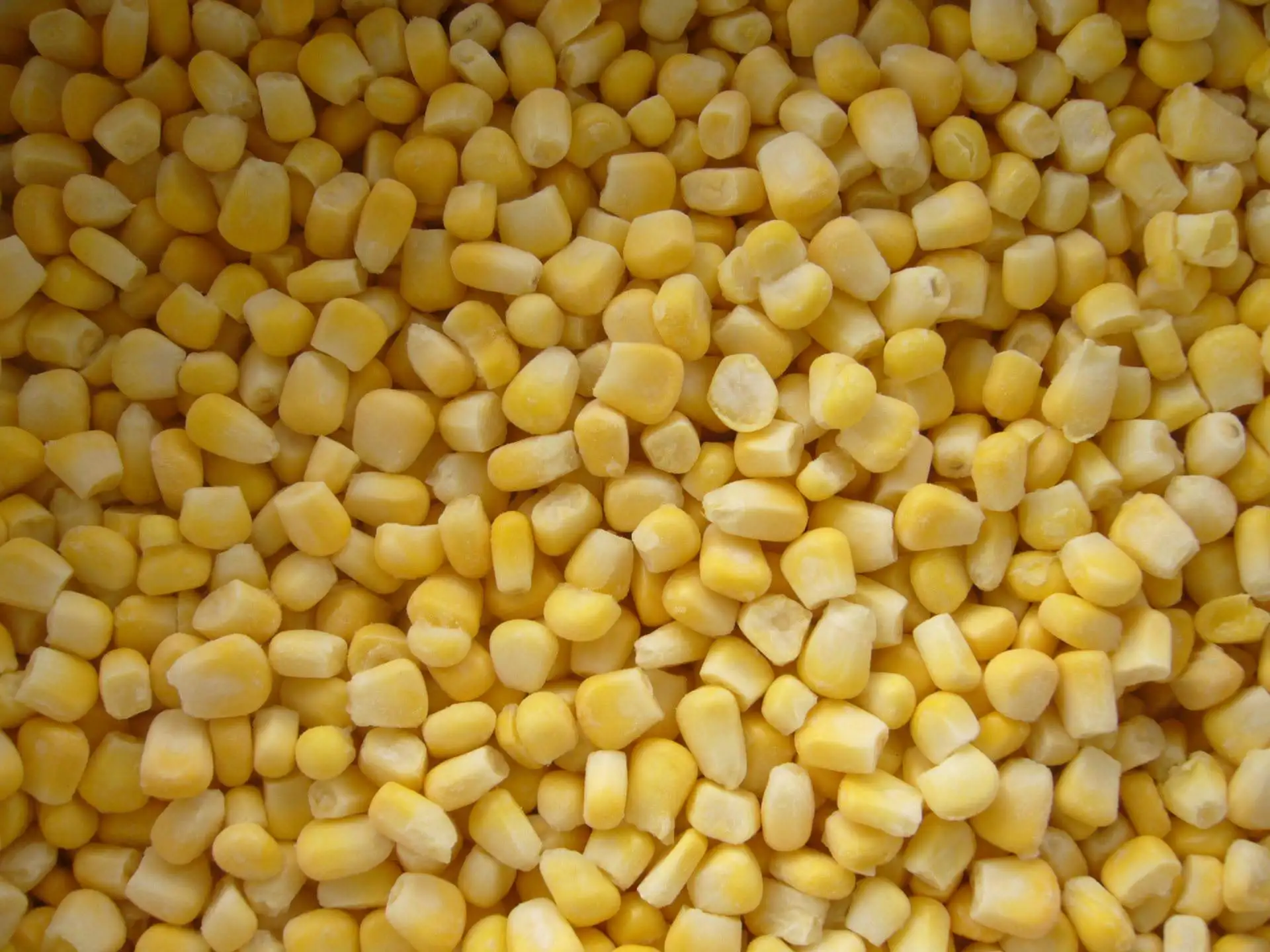 Wholesale Price Iqf Frozen Sweet Corn Frozen Vegetables