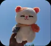 Cute cat