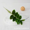 Árbol del dinero de 10 hojas - 52 cm