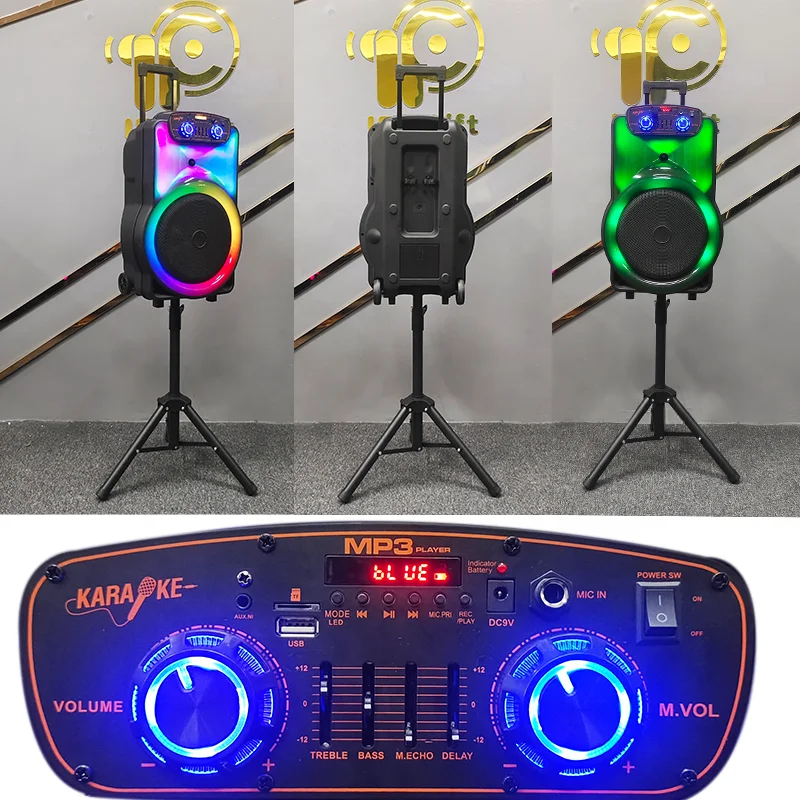 IF-1503Q New Speaker Box OEM 15 Inch with Wireless Microphones