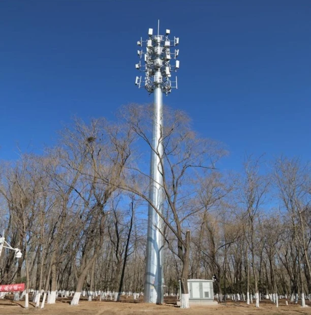 Hot Dip Galvanized Monopole Telecom Cell Truss Tower Lattice Tower for Power Transmission Telecommunication Competitive Price manufacture